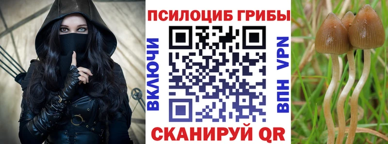 Псилоцибиновые грибы Magic Shrooms  где можно купить наркотик  Зима 